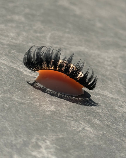 Eye lids (6 pack)