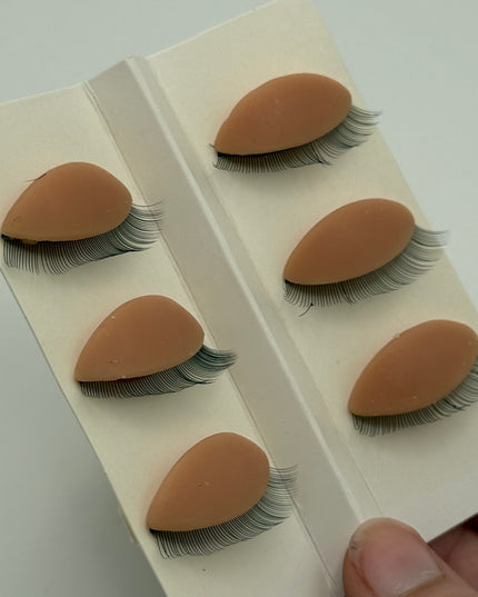 Eye lids (6 pack)
