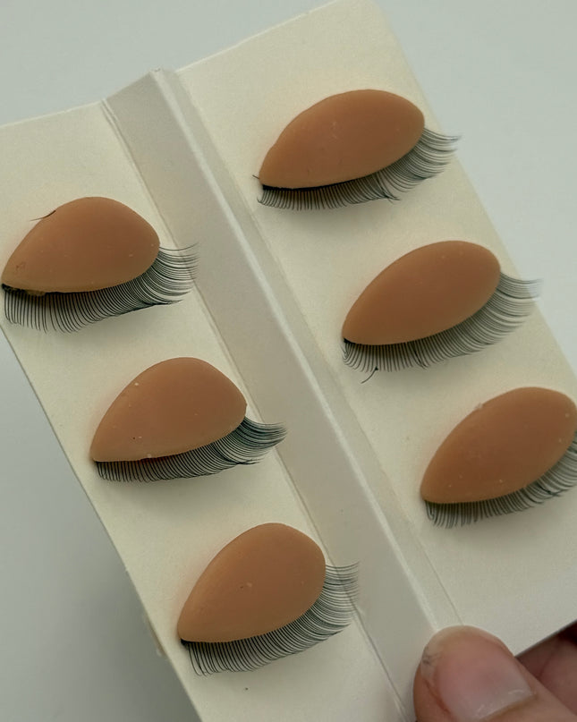 Eye lids (6 pack)