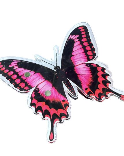 Pink Swallowtail