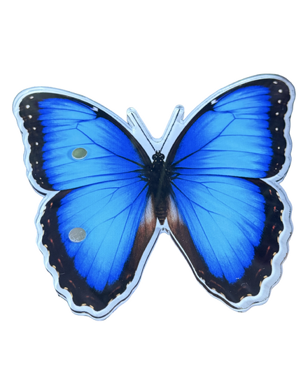 Morpho