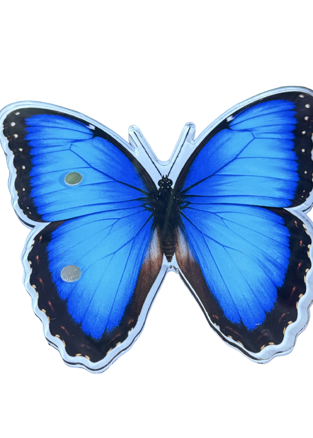 Morpho